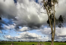 南昌八一挑战宁波太平洋,胜负难料