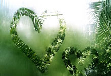 卡尔皮主场大胜对手取得三分——红白之夜点燃激情