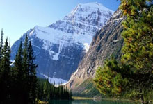 意大利选手披荆斩棘,最终成功