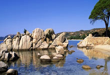 法国队在女足锦标赛中获得亚军