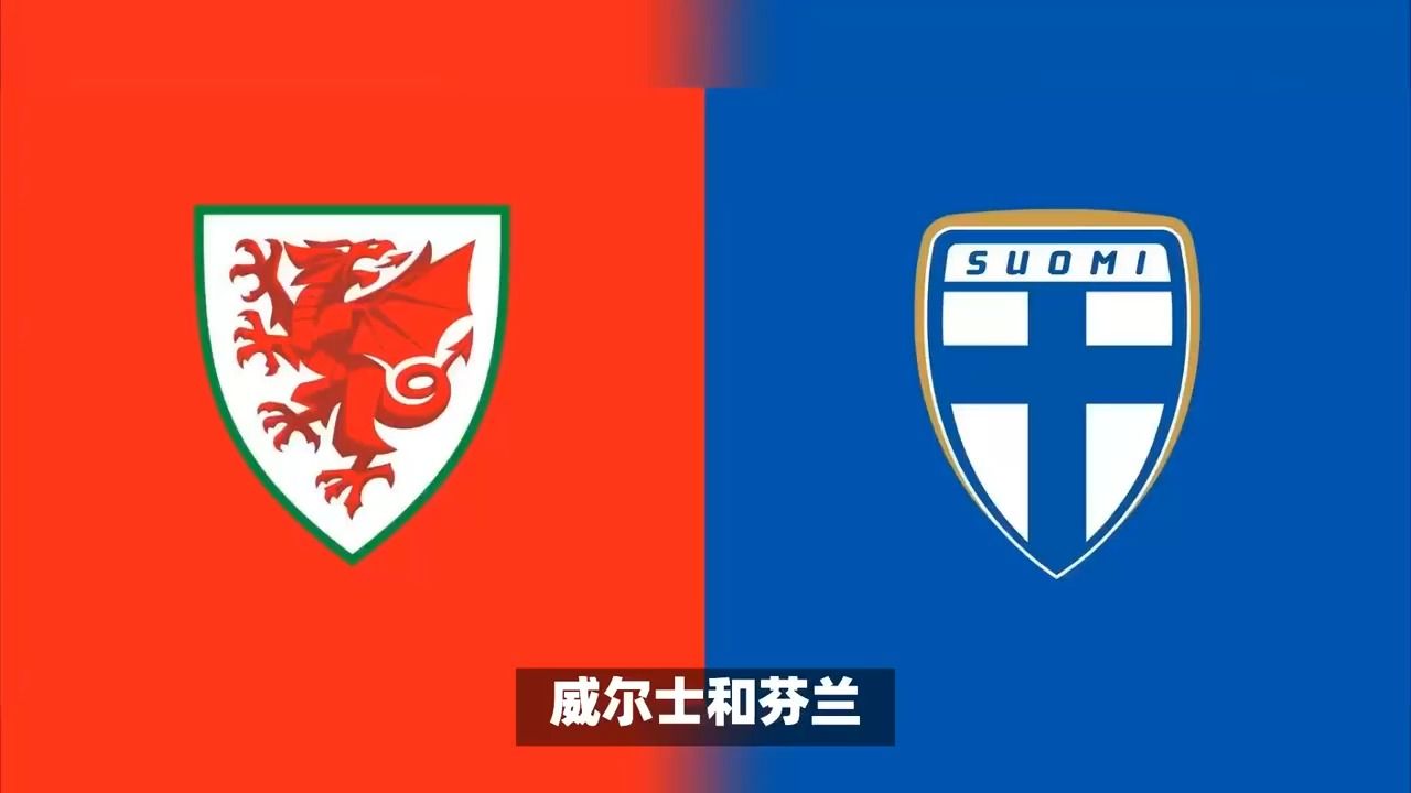 威尔士队在欧预赛中力挫劲敌取得胜利